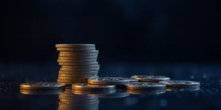 Transparency — straightforward platform details on the Fern Pledgeontary trading platform